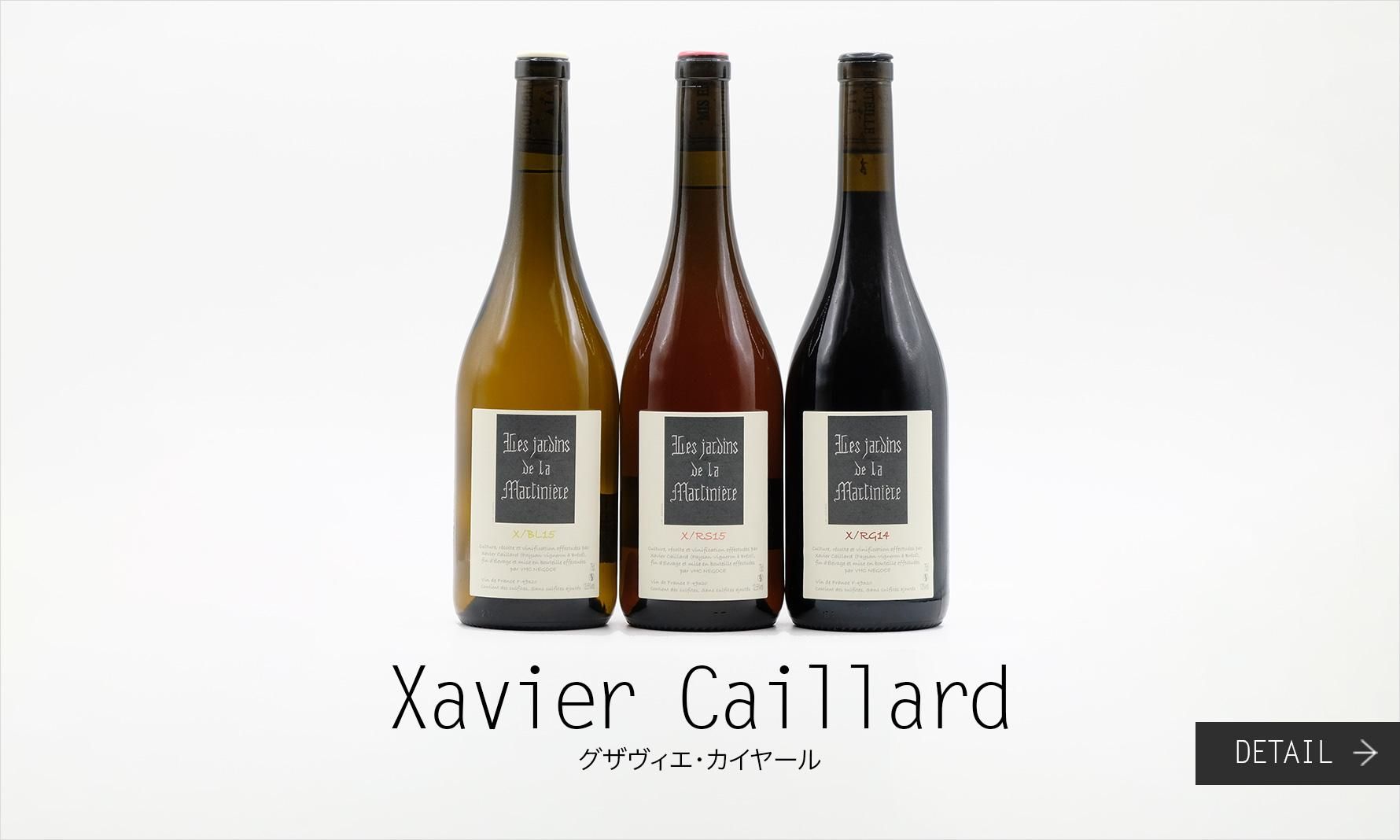 䡼롡Xavier Caillard