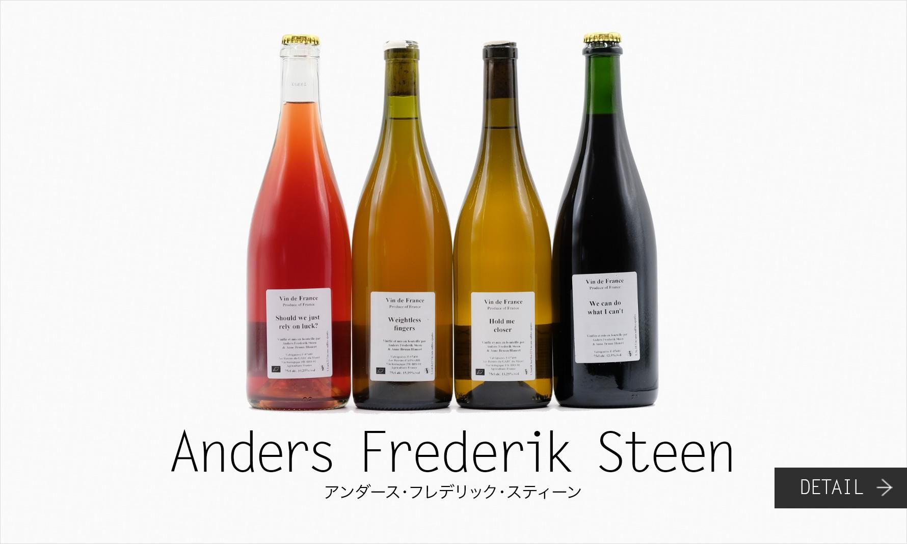 եǥåƥAnders Frederik Steen