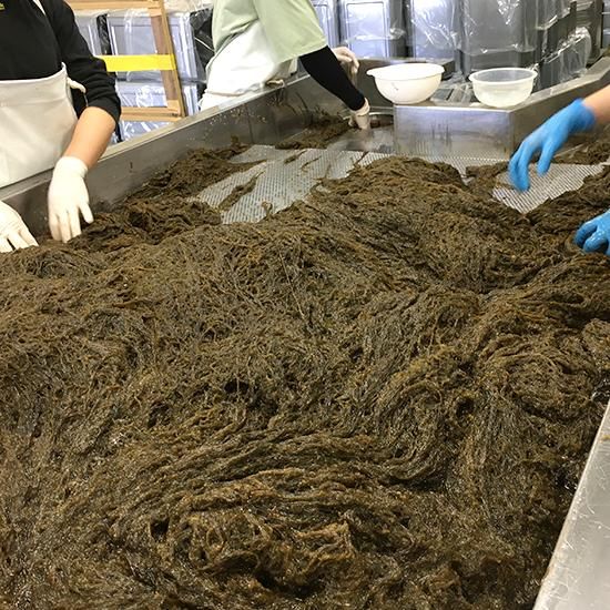 冷蔵＞便利チャック付♪ 冷蔵庫内で邪魔にならないサイズ☆塩もずく