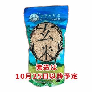 ʿ¼Ҥꡡơ500g̡