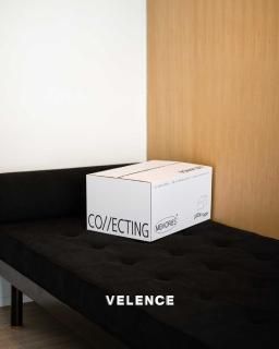 ウィン WIN ブランド VELENCE まとめ売り VELENCE 【Win】 - 推しタイ -Oshi Thai-