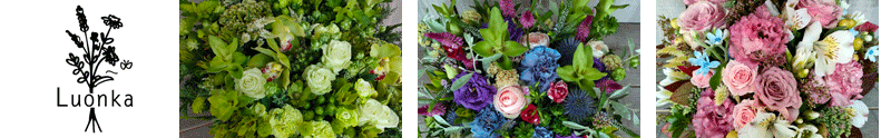 Luonka　ルオンカ