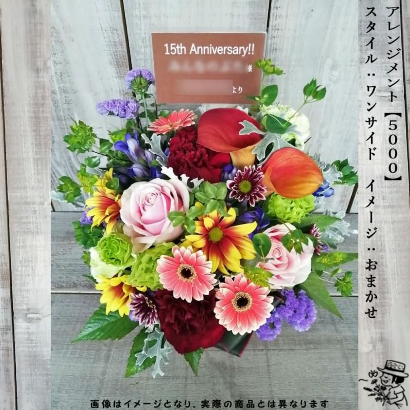 アレンジメントフラワー 【5000・おまかせ色】 - flowersCERBO アレンジメントフラワー 【5000・おまかせ色】 - flowersCERBO