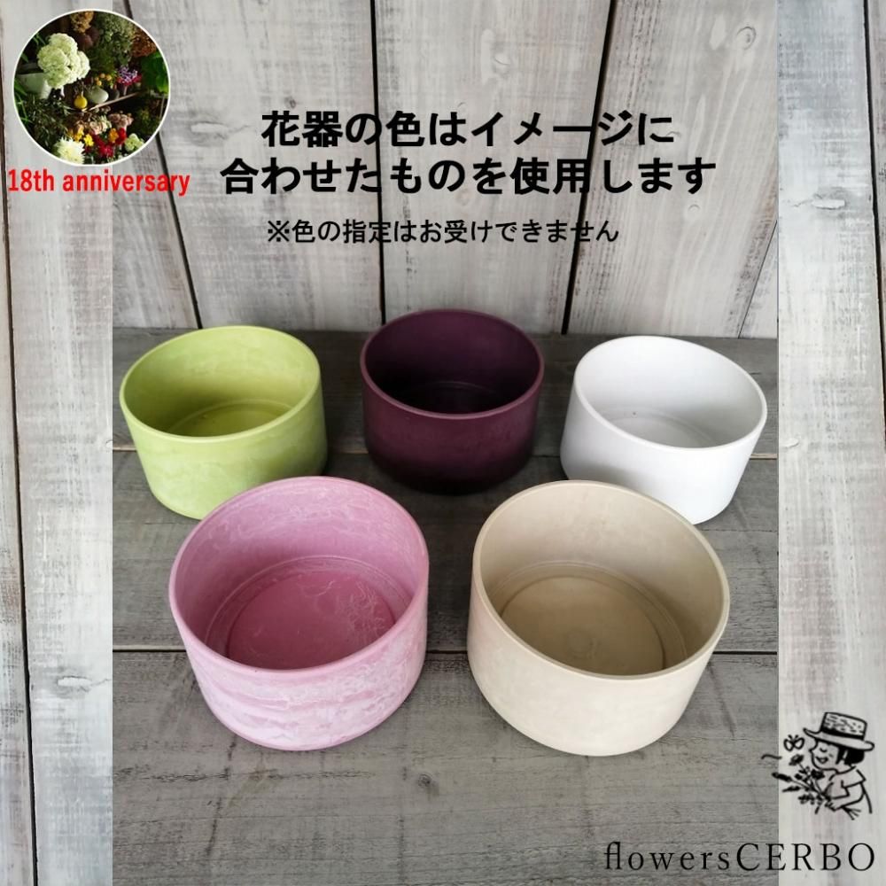 アレンジメントフラワー 【5000・華やか】 - flowersCERBO