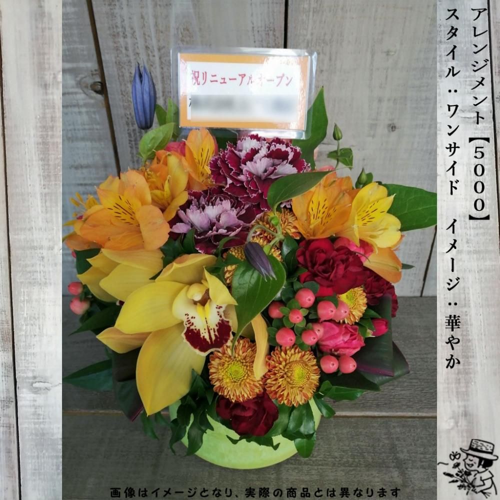 アレンジメントフラワー 【5000・華やか】 - Luonka（旧CERBO）