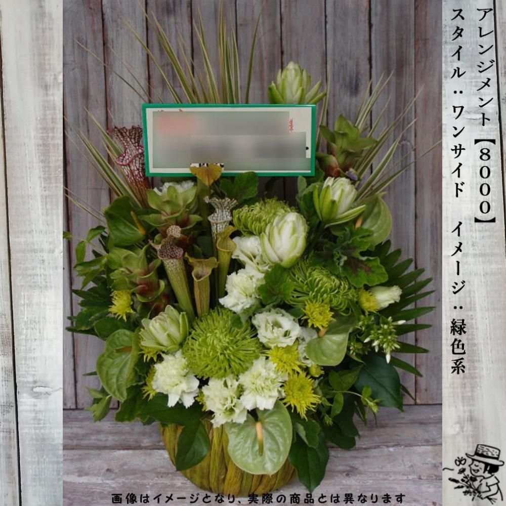 アレンジメントフラワー 【8000・緑色系】 - flowersCERBO