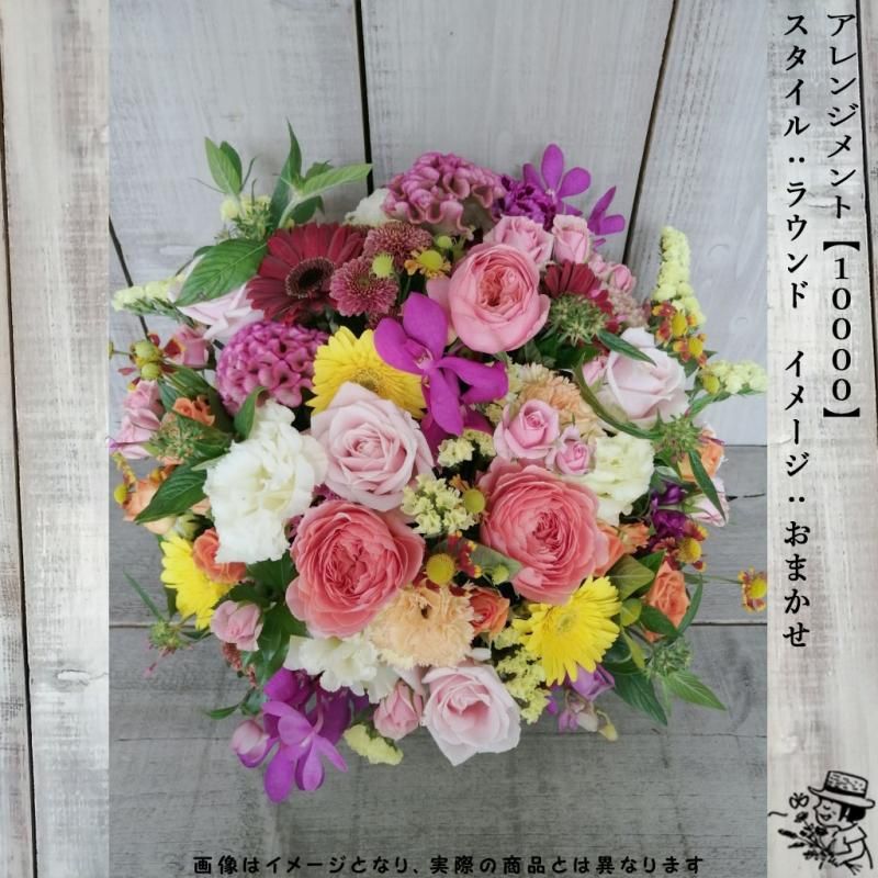 アレンジメントフラワー 【10000・おまかせ色】 - flowersCERBO アレンジメントフラワー 【10000・おまかせ色】 - flowersCERBO