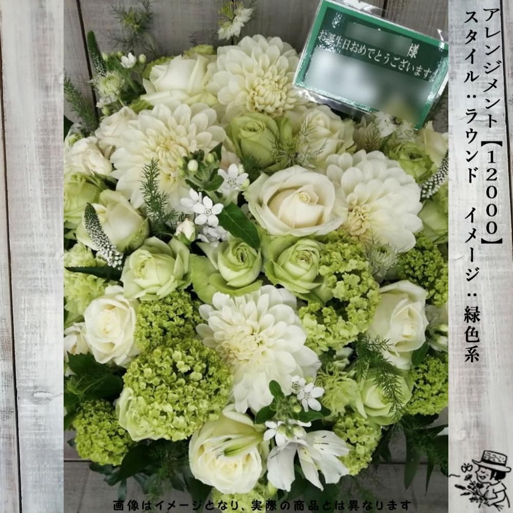 アレンジメントフラワー 【12000・緑色系】 - flowersCERBO アレンジメントフラワー 【12000・緑色系】 - flowersCERBO