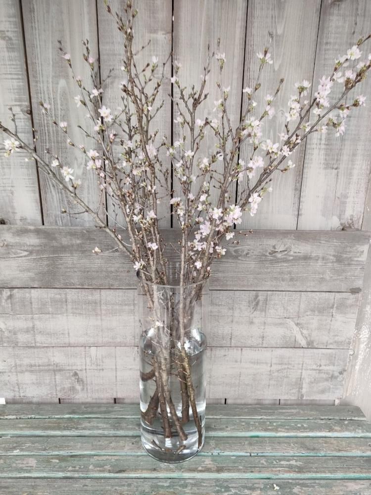 アウトレット価格】定価8800円ガラス花瓶 60cm 桜やユリ、ドライ