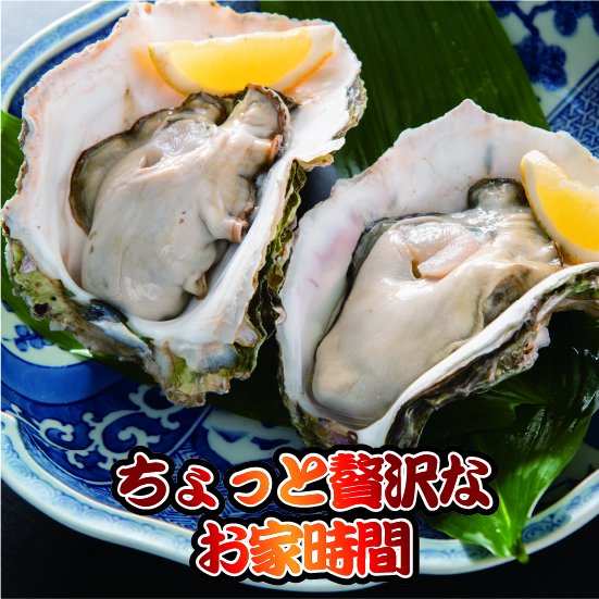 栄養たっぷり！鳥取県産の岩牡蠣サイズ小6個