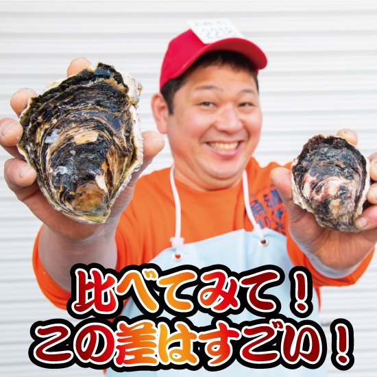 お得で美味しい！鳥取県産の岩牡蠣サイズ大小10個セット