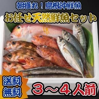 山陰のおみやげ本舗 なかうら / 干物
