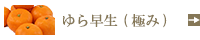 (ˤ)