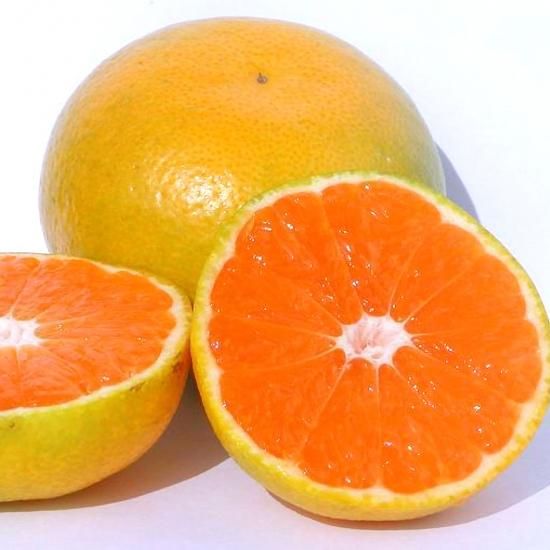  þ L 3kg ̼¸Ŀ 20ġ10/22ʹ߽缡в١