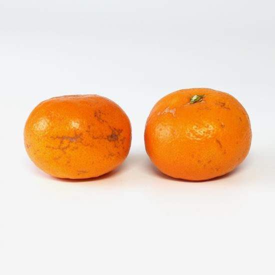  辰 2S2L 4.5kg ̼¸Ŀޤ10/22ʹ߽缡в١