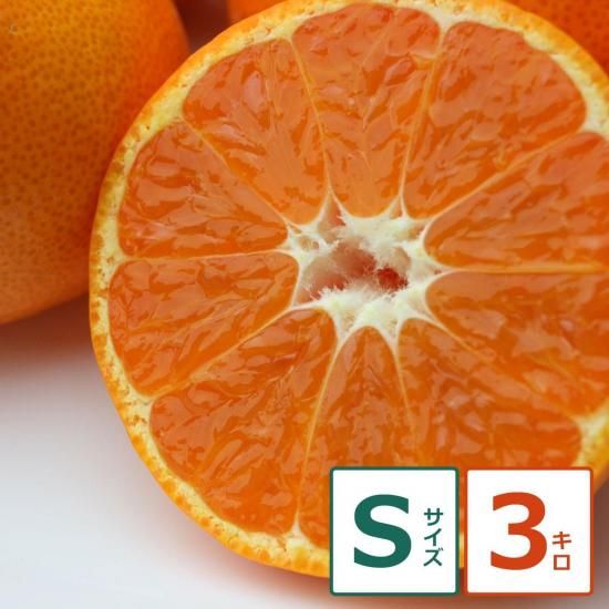 礦ޤ 3kg S ̼¸Ŀ 36ġ12/18ʹ߽缡вͽ