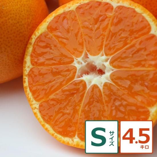 礦ޤ 4.5kg S ̼¸Ŀ 48ġ12/18ʹ߽缡вͽ