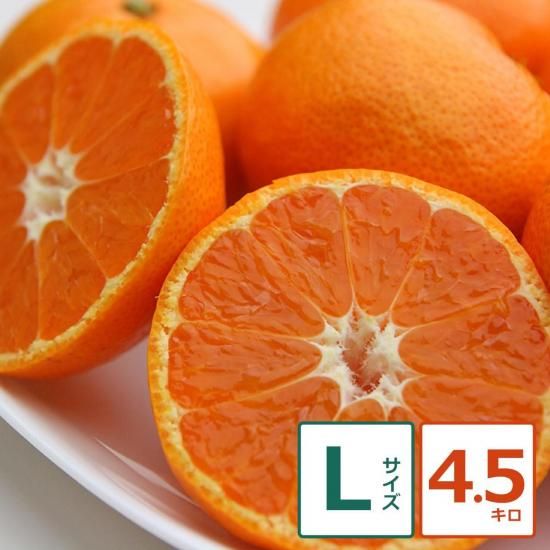 ˤ̣ 4.5kg L12/1ʹ߽缡вͽ