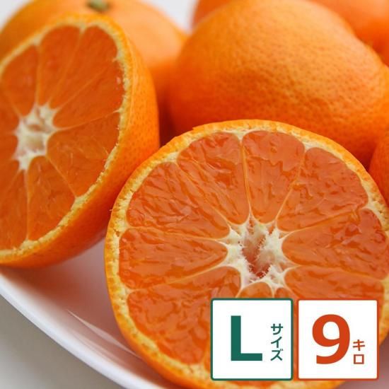 ˤ̣ 9kg L12/1ʹ߽缡вͽ