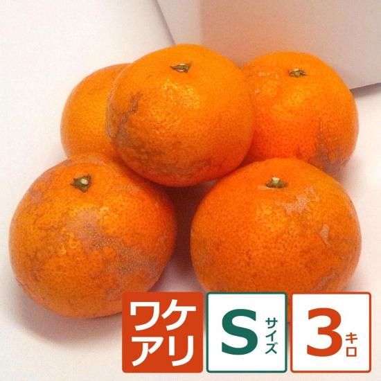 礦ޤ辰ߤ 3kg S12/18ʹ߽缡вͽ