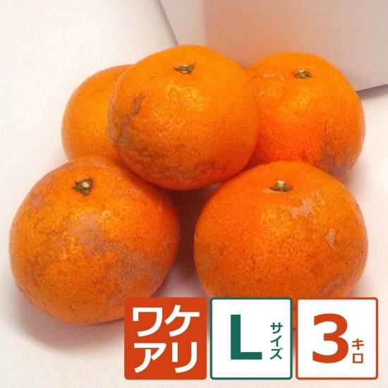 礦ޤ辰ߤ 3kg L12/18ʹ߽缡вͽ