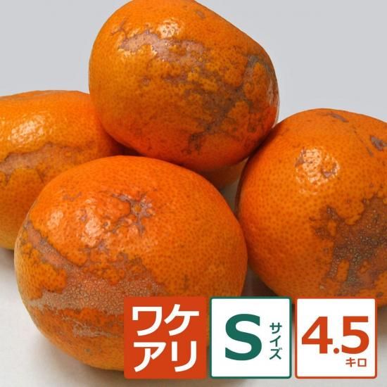 礤ߤ 4.5kg S12/1ʹ߽缡вͽ