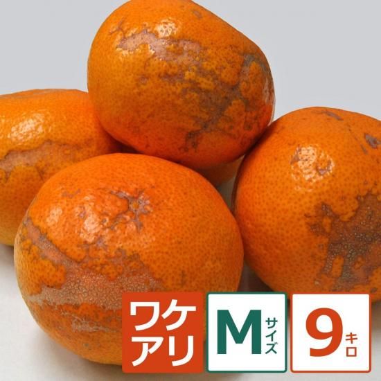 礤ߤ 9kg M12/1ʹ߽缡вͽ