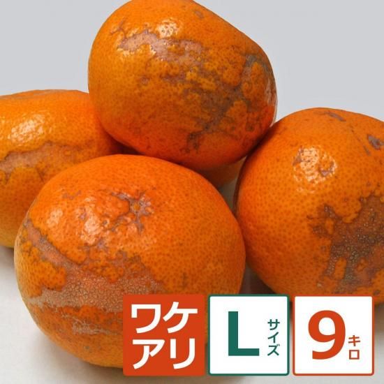 礤ߤ 9kg L12/1ʹ߽缡вͽ