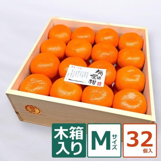 ͭĤߤȢɱ M 32ġ12/1ʹ߽缡вͽ