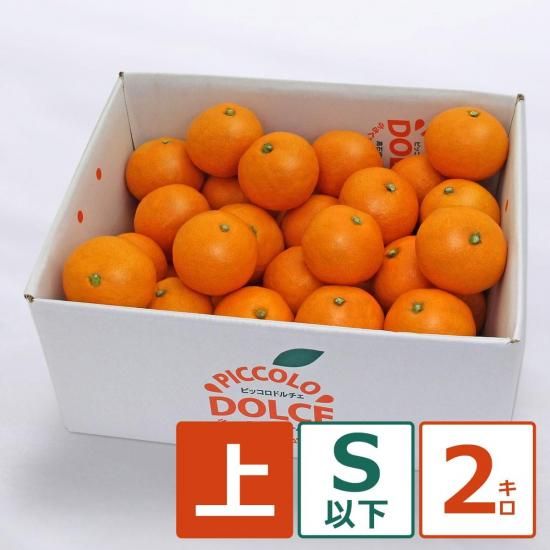 ԥåߤ  2.0kg γ 30ġ12/1ʹ߽缡вͽ