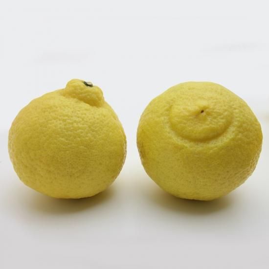 Ϥ뤫þ塿L2.5kg2/1ʹ߽缡в١