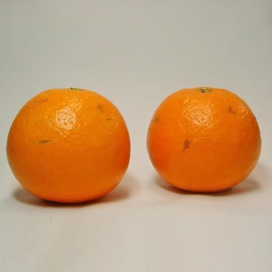   3L 2.5kg