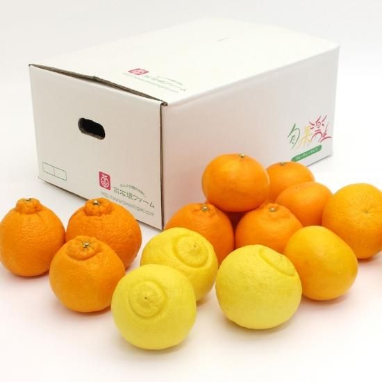 դ  2L 4.5kg