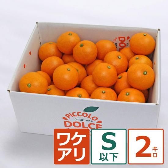 辰ԥåߤ 2.0kg γ 30ġ12/1ʹ߽缡вͽ