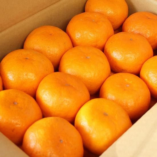 ʶˤߡ  S 3kg ̼¸Ŀ 24ġ11/5ʹ߽缡вͽ