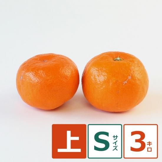 ʶˤߡ  S 3kg ̼¸Ŀ 24ġ11/5ʹ߽缡вͽ