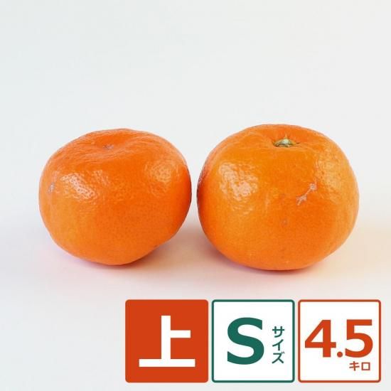 ʶˤߡ  S 4.5kg ̼¸Ŀ 48ġ11/5ʹ߽缡вͽ