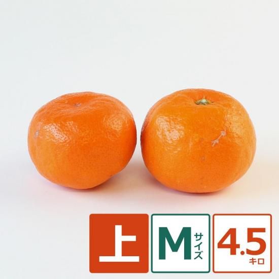 ʶˤߡ  M 4.5kg ̼¸Ŀ 42ġ11/5ʹ߽缡вͽ
