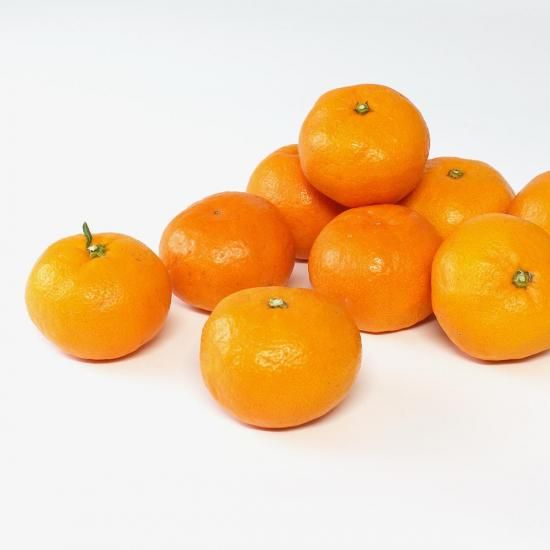 ʶˤߡ 辰 2SL 4.5kg ̼¸Ŀޤ11/5ʹ߽缡вͽ