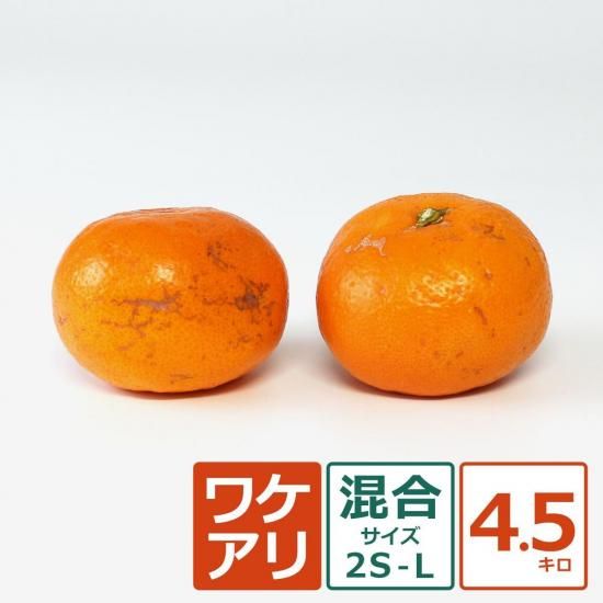 ʶˤߡ 辰 2SL 4.5kg ̼¸Ŀޤ11/5ʹ߽缡вͽ