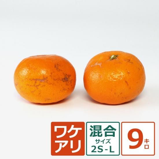 ʶˤߡ 辰 2SL 9kg ̼¸Ŀޤ11/5ʹ߽缡вͽ