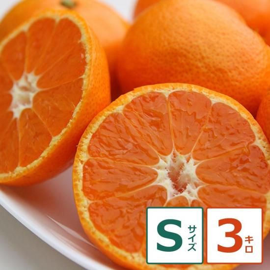 ˤ̣ 3kg S12/1ʹ߽缡вͽ