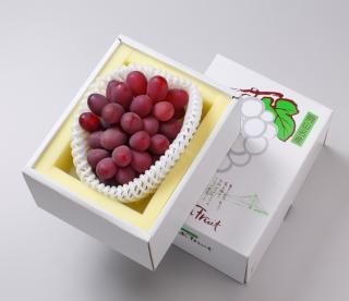 晴れの国岡山県産ナンキンハゼ60本(現品画像) 岡山県産品人気ランキング - 岡山 駅ナカ お土産 ネットショップ