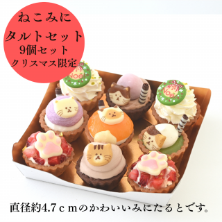 STYLE　【クリスマス限定】　ねこみにタルトセット　9個入り　【冷凍】