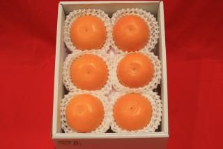 <img class='new_mark_img1' src='https://img.shop-pro.jp/img/new/icons1.gif' style='border:none;display:inline;margin:0px;padding:0px;width:auto;' />ߥ襷 ɲȤޤɤʡ7