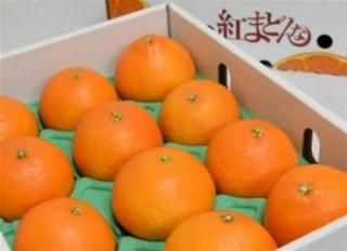 <img class='new_mark_img1' src='https://img.shop-pro.jp/img/new/icons1.gif' style='border:none;display:inline;margin:0px;padding:0px;width:auto;' />ߥ襷 ɲȤޤɤʡ1215