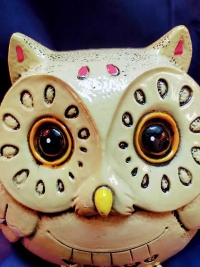 フクロウ 梟 ふくろう 不苦労 縁起 鳥