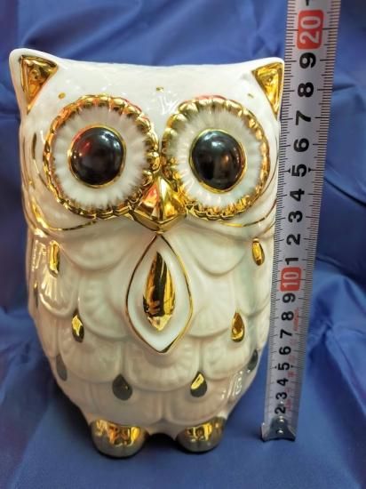 フクロウ 梟 ふくろう 不苦労 縁起 鳥