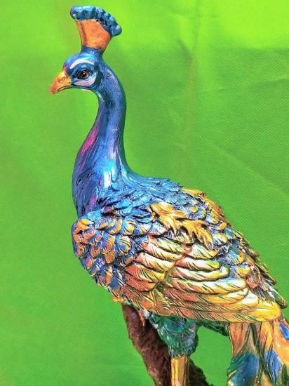 軸 開運 縁起物 おもてなし 絵 幸運 鳥 孔雀 中国 美術 骨董 インテリア 軸 開運 縁起物 おもてなし 絵 幸運 鳥 孔雀 中国 美術 骨董
