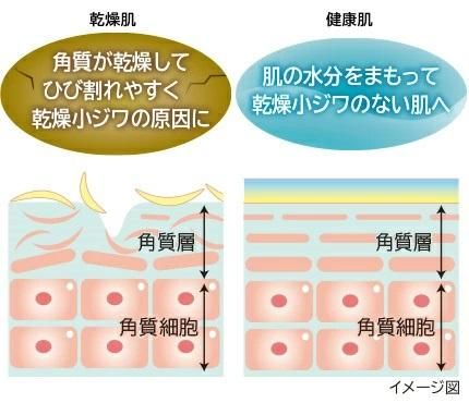 日立 海外/国内向け 保湿サポート器 CM-N50000UF HITACHI 日立 海外/国内向け 保湿サポート器 CM-N50000UF HITACHI
